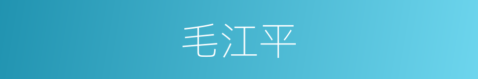 毛江平的同义词