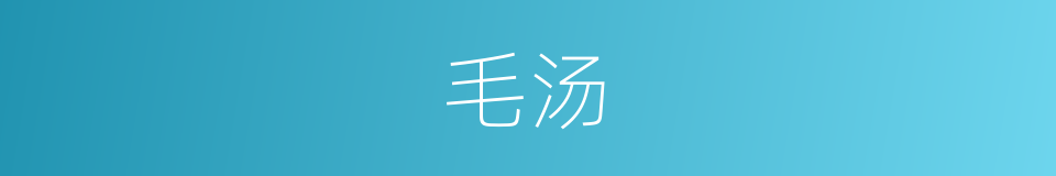 毛汤的同义词