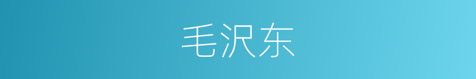 毛沢东的同义词