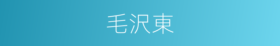 毛沢東的同義詞
