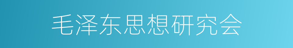 毛泽东思想研究会的同义词