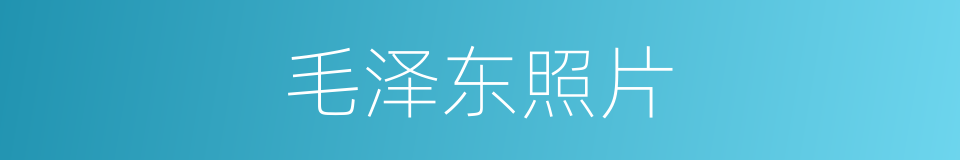 毛泽东照片的同义词