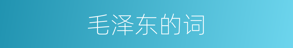 毛泽东的词的同义词