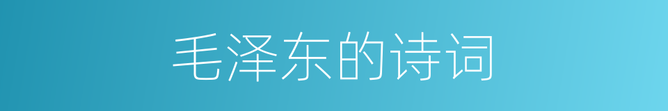 毛泽东的诗词的同义词