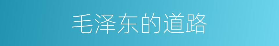 毛泽东的道路的同义词