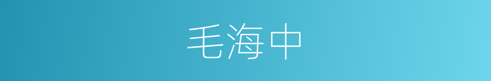 毛海中的同义词