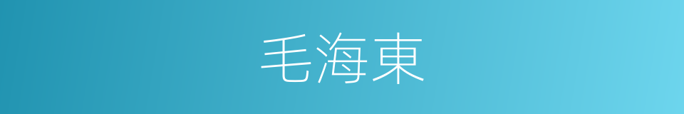 毛海東的同義詞