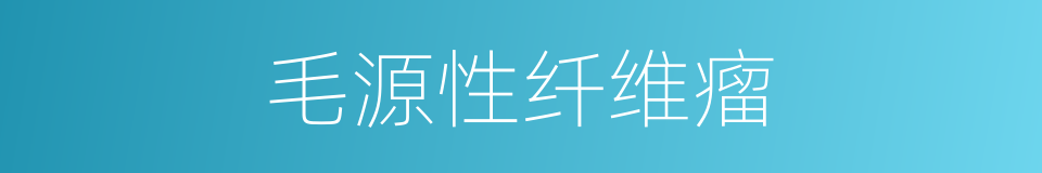 毛源性纤维瘤的同义词