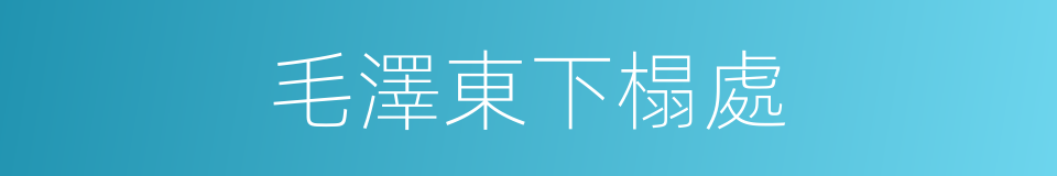 毛澤東下榻處的同義詞