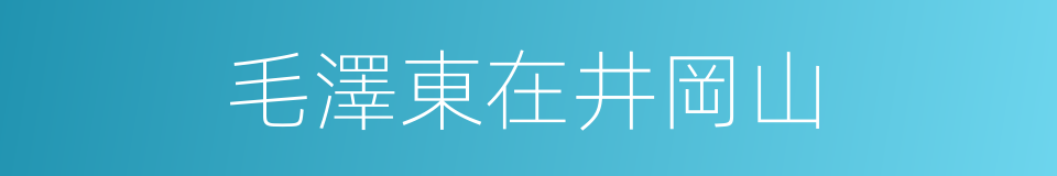 毛澤東在井岡山的同義詞