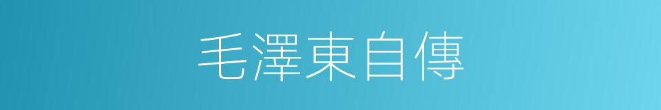 毛澤東自傳的同義詞