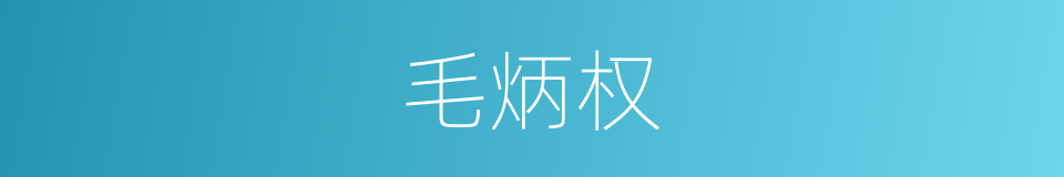 毛炳权的同义词