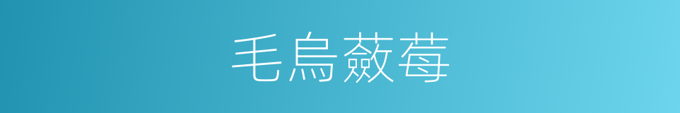 毛烏蘞莓的同義詞