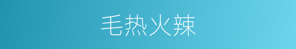 毛热火辣的意思