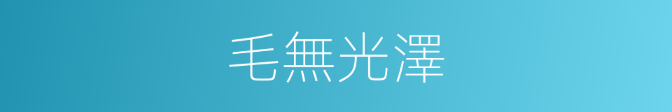 毛無光澤的同義詞