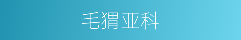 毛猬亚科的同义词