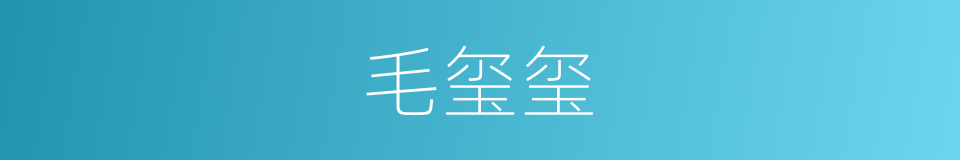 毛玺玺的同义词