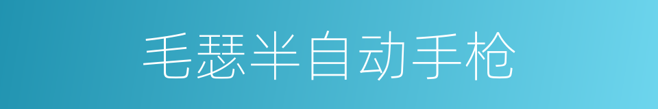 毛瑟半自动手枪的同义词