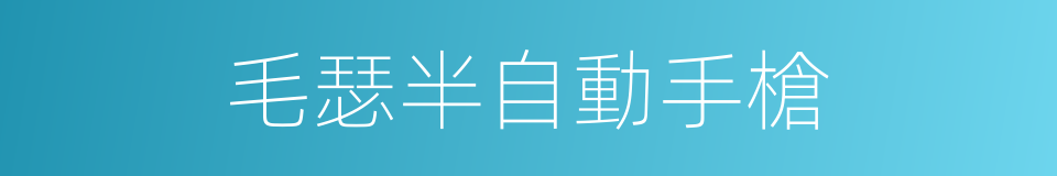 毛瑟半自動手槍的同義詞