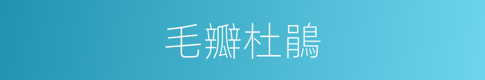 毛瓣杜鵑的同義詞