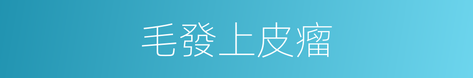 毛發上皮瘤的同義詞