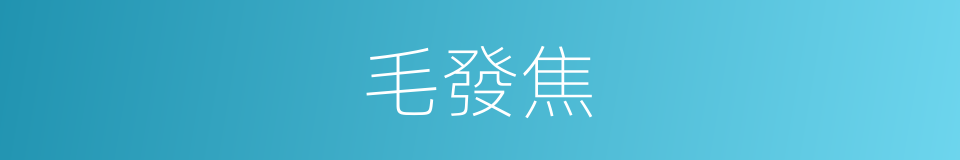 毛發焦的同義詞