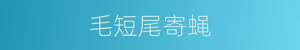 毛短尾寄蝇的同义词