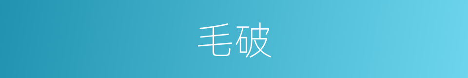 毛破的同义词