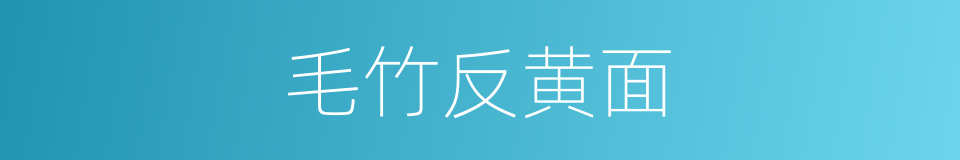 毛竹反黄面的同义词