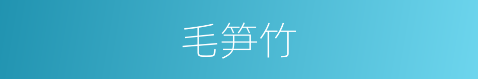 毛笋竹的同义词