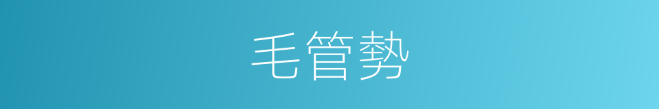 毛管勢的同義詞