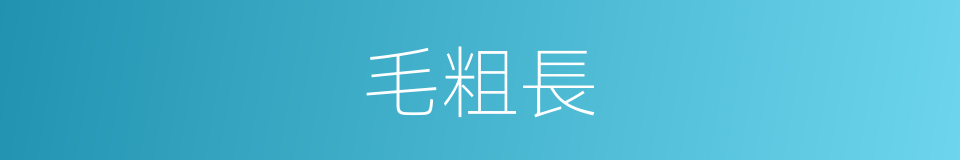 毛粗長的同義詞