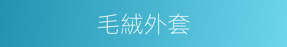 毛絨外套的同義詞
