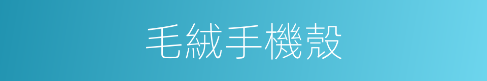 毛絨手機殼的同義詞