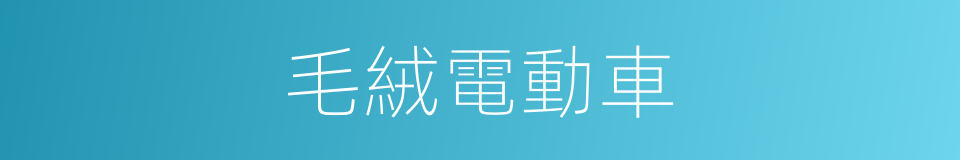 毛絨電動車的同義詞