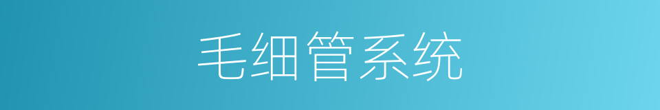 毛细管系统的同义词