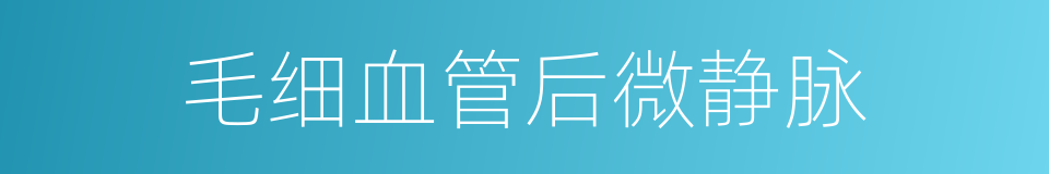 毛细血管后微静脉的同义词