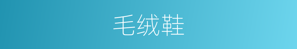 毛绒鞋的同义词