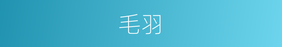 毛羽的意思
