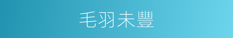 毛羽未豐的意思