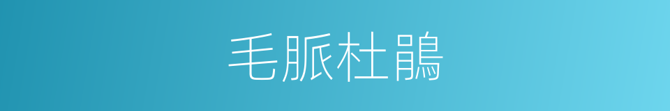 毛脈杜鵑的同義詞