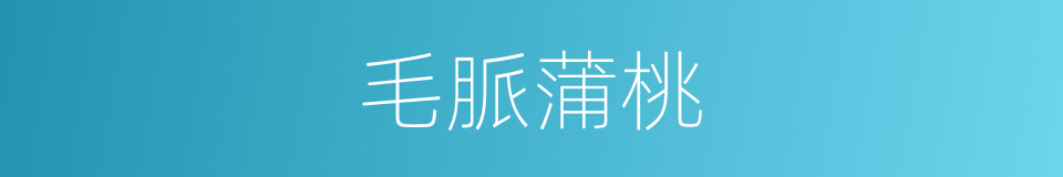 毛脈蒲桃的同義詞