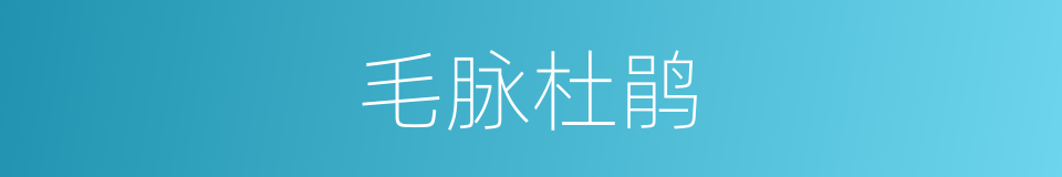 毛脉杜鹃的同义词