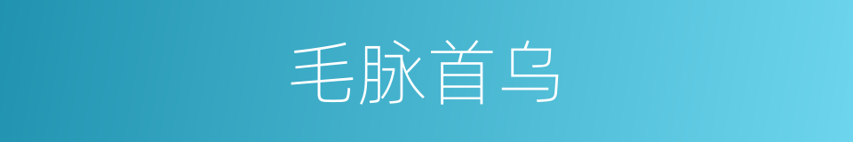 毛脉首乌的同义词