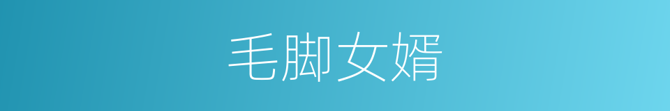 毛脚女婿的意思