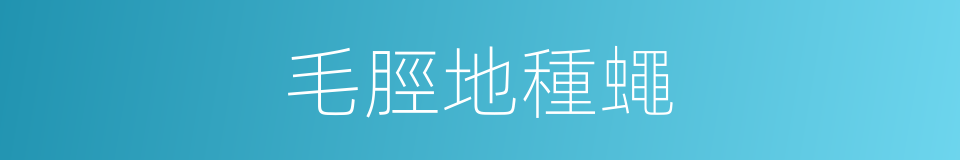 毛脛地種蠅的同義詞