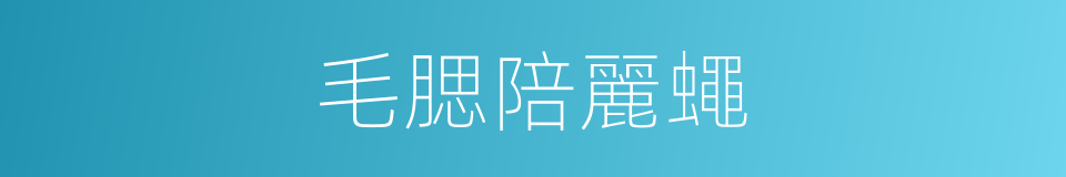 毛腮陪麗蠅的同義詞