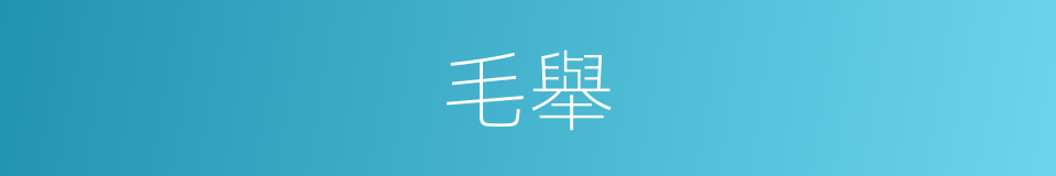毛舉的意思