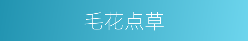 毛花点草的同义词