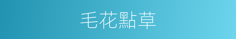 毛花點草的同義詞